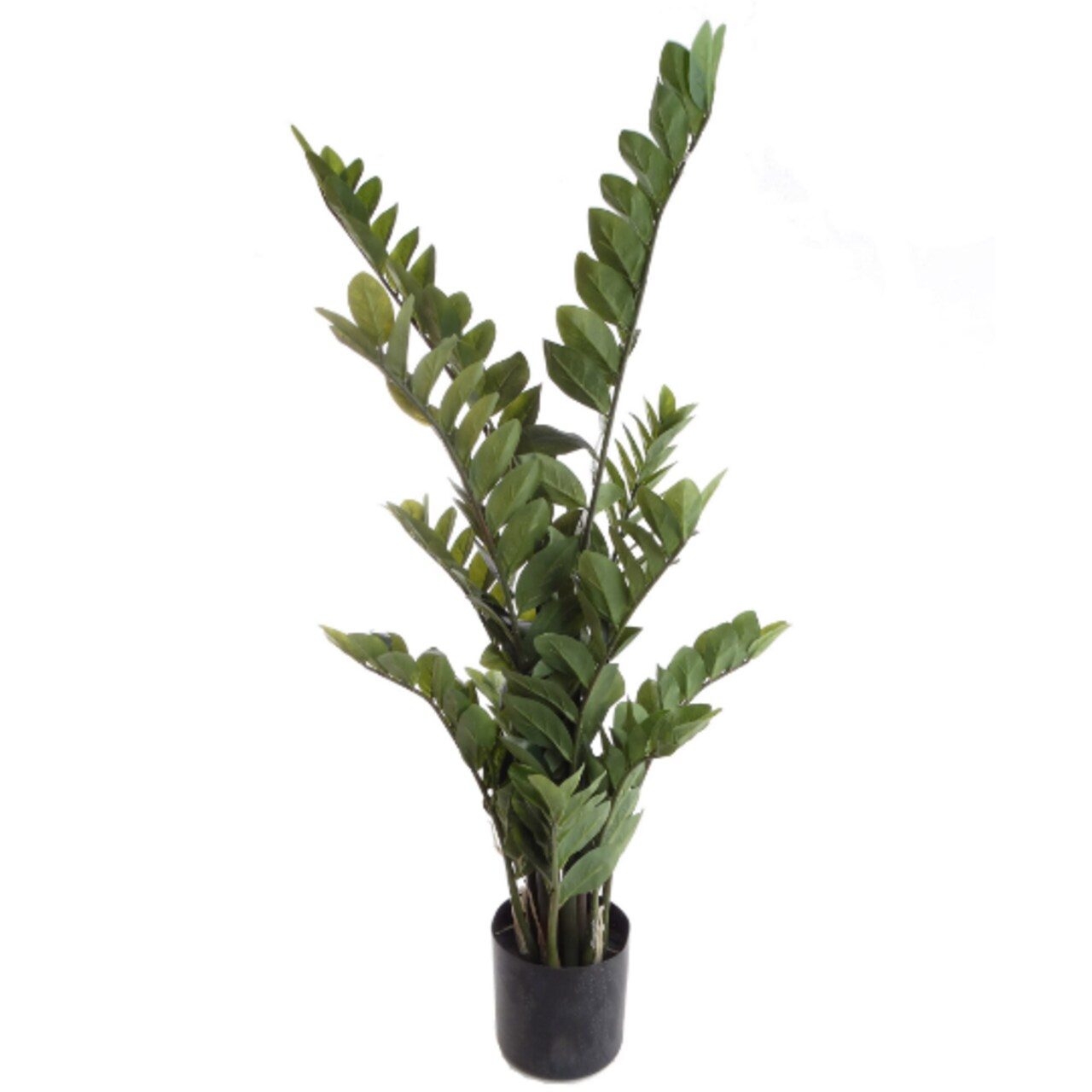 Set of 2: 43" Zamifolia Bush in Black Pot with 220 Leaves - Lifelike Greenery for Home & Office Decor, Floral Home by Artificial Flowers
